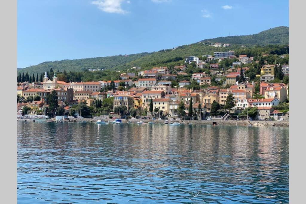Apartment Mirna - What You See Is What You Get Opatija Exterior photo