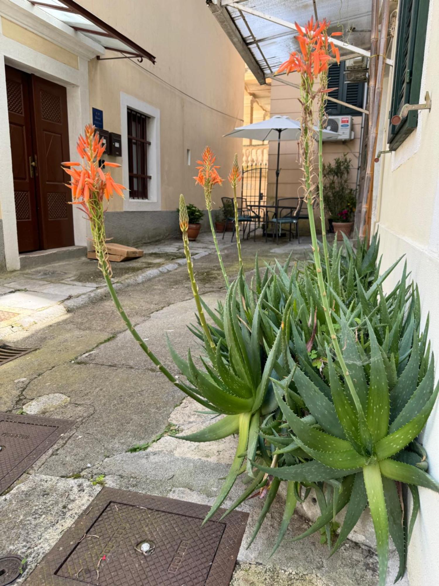 Apartment Mirna - What You See Is What You Get Opatija Exterior photo