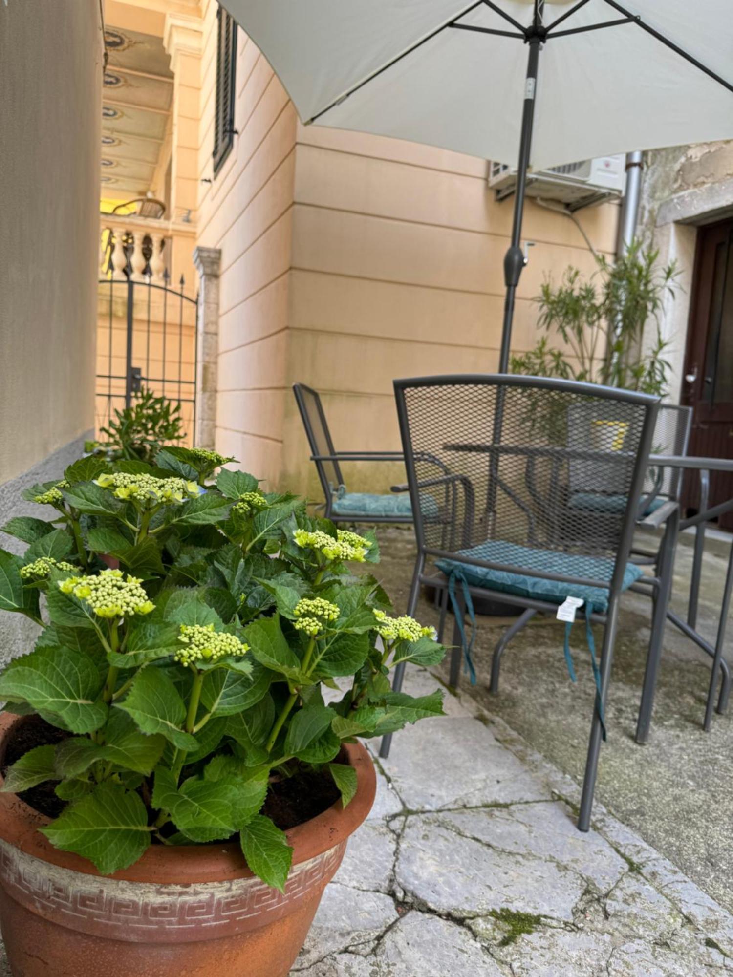 Apartment Mirna - What You See Is What You Get Opatija Exterior photo