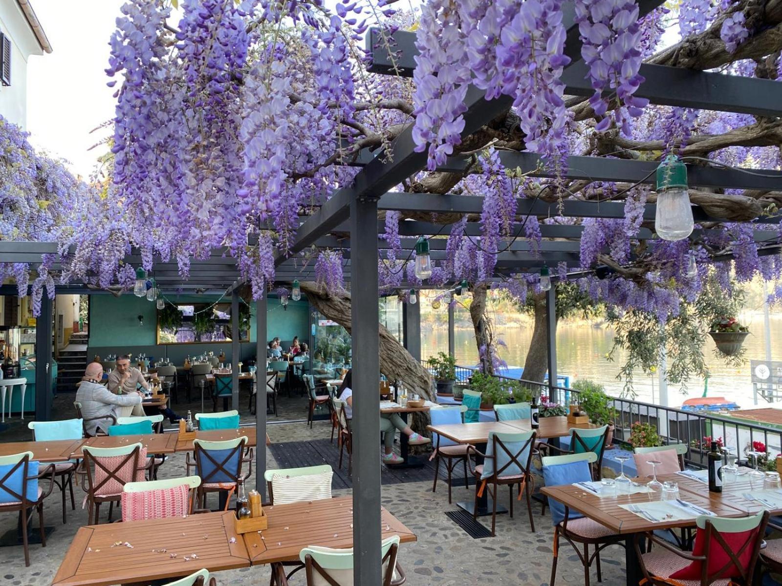 Apartment Mirna - What You See Is What You Get Opatija Exterior photo