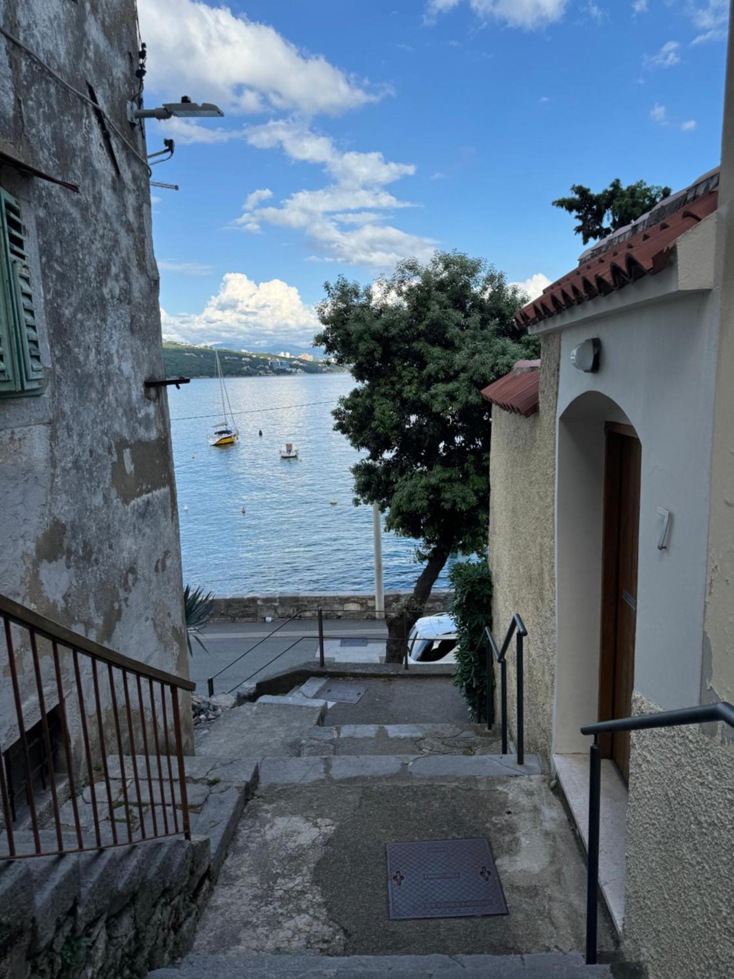 Apartment Mirna - What You See Is What You Get Opatija Exterior photo