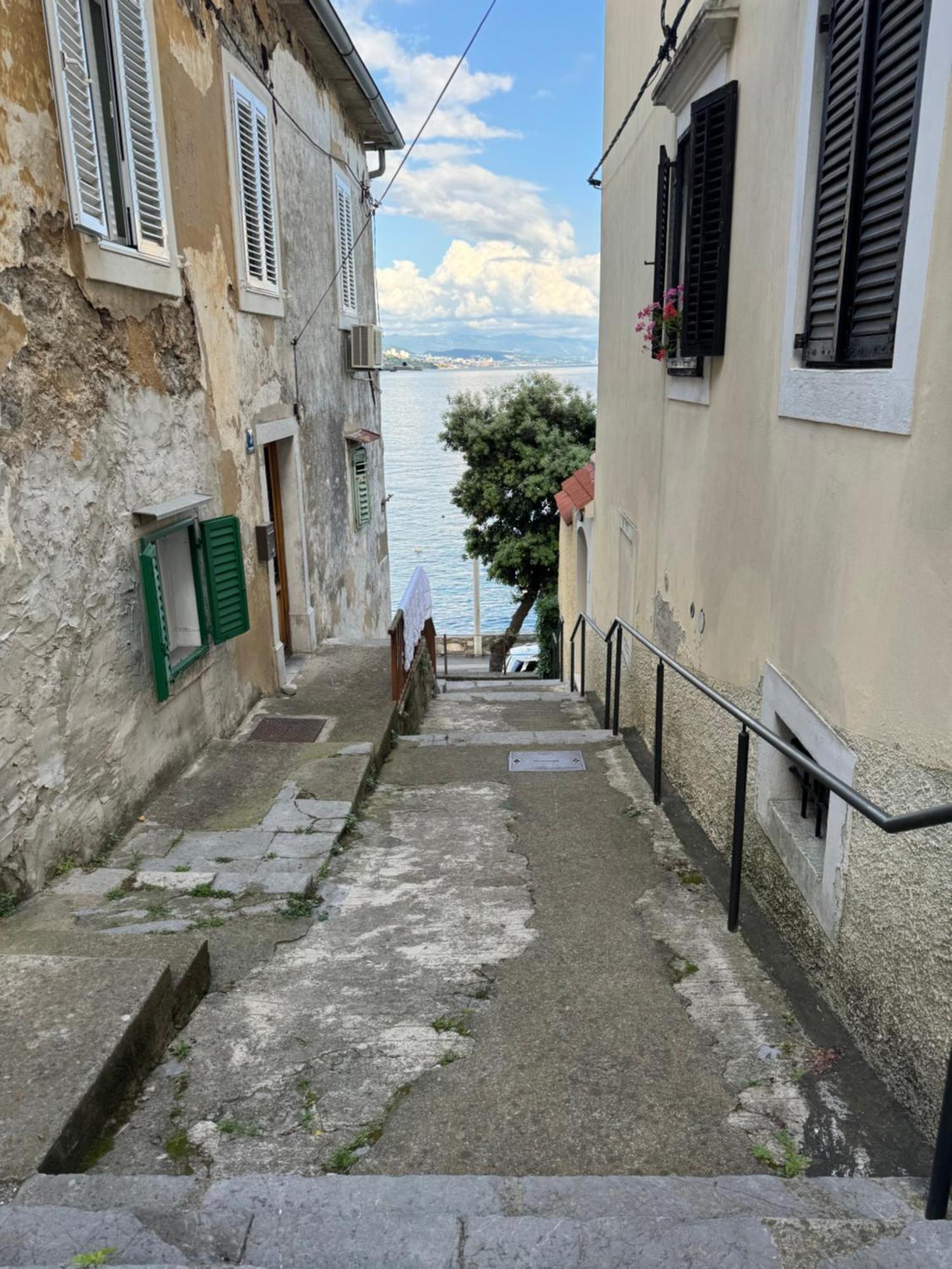 Apartment Mirna - What You See Is What You Get Opatija Exterior photo